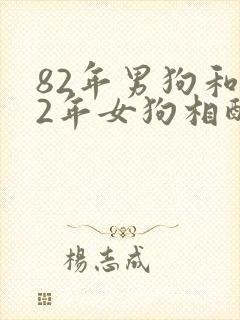 82年男狗和82年女狗相配婚姻如何