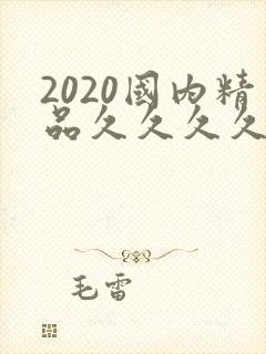 2020国内精品久久久久精免费