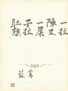 肚子一阵一阵痛想拉屎又拉不出来