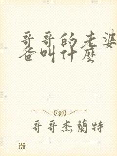 哥哥的老婆的爸爸叫什么封面