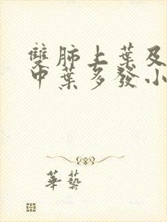 双肺上叶及右肺中叶多发小结节