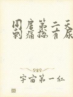 同房第二天小便刺痛总有尿意