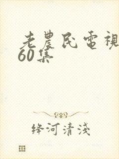 老农民电视剧全60集封面