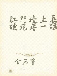 肛门边上长了个硬疙瘩一碰就疼