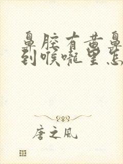 鼻腔有黄鼻涕流到喉咙里怎么办