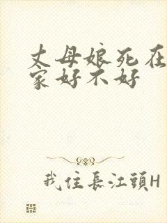 丈母娘死在女婿家好不好封面