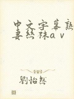 中文字幕熟女人妻丝袜aⅴ