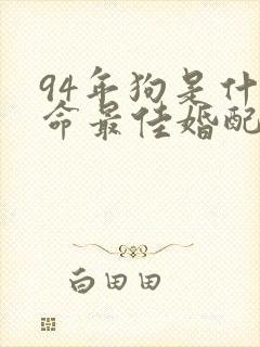 94年狗是什么命最佳婚配封面
