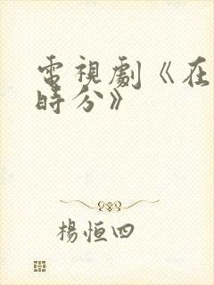 电视剧《在暴雪时分》