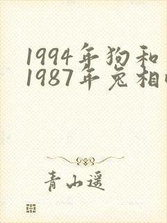 1994年狗和1987年兔相配吗