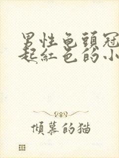 男性龟头冠状沟起红色的小疙瘩