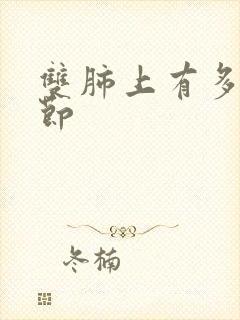 双肺上有多个结节