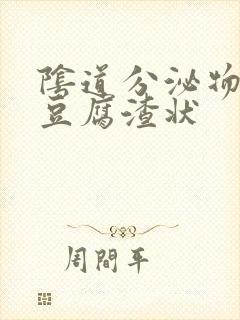 阴道分泌物白色豆腐渣状