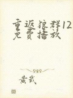 重返狼群12集免费播放