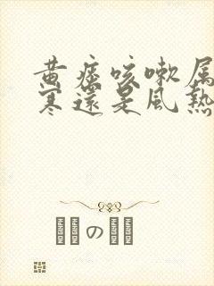 黄痰咳嗽属于风寒还是风热