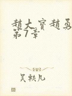 赵大宝赵勇苏媚第7章