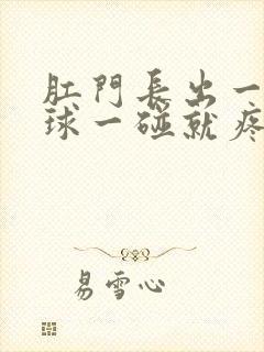 肛门长出一个肉球一碰就疼封面