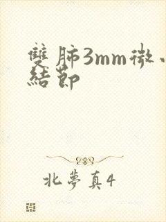 双肺3mm微小结节