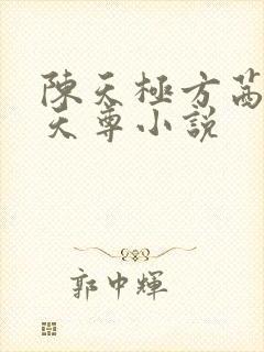 陈天极方茜武极天尊小说
