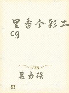 里番全彩工口acg封面