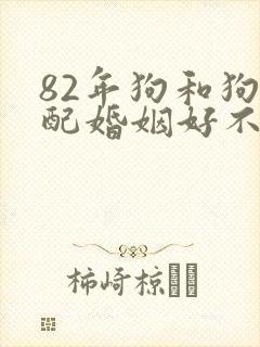 82年狗和狗相配婚姻好不好