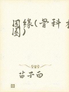 因缘(骨科 校园)封面