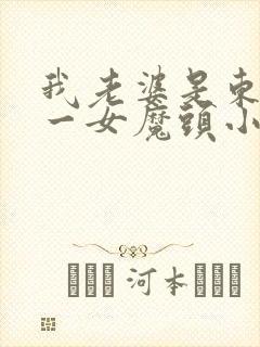 我老婆是东晋第一女魔头小说免费封面