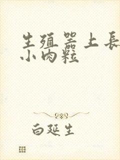 生殖器上长一圈小肉粒