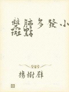 双肺多发小结节斑点