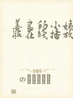 善良的小姨完整版在线播放视频封面