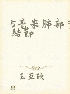 5毫米肺部实性结节