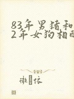 83年男猪和82年女狗相配婚姻如何