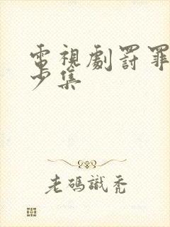 电视剧罚罪2多少集