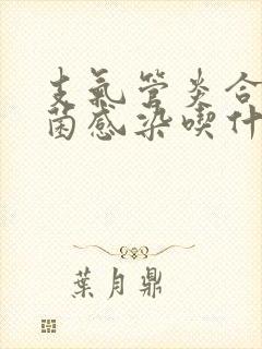 支气管炎合并细菌感染吃什么药