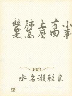 双肺上有小结节是怎么回事