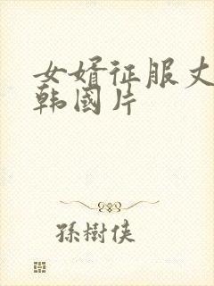 女婿征服丈母娘韩国片封面