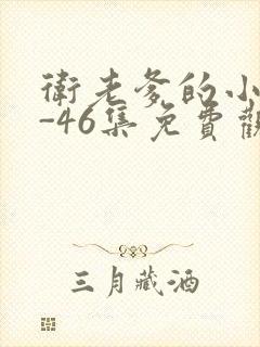 卫老爹的小船1-46集免费观看