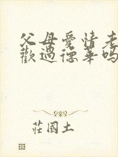 父母爱情老丁喜欢过德华吗