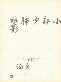 双肺少许小结节影封面