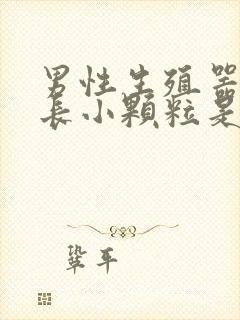 男性生殖器周围长小颗粒是怎么回事