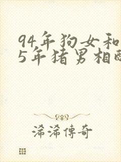 94年狗女和95年猪男相配吗