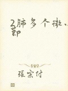 2肺多个微小结节