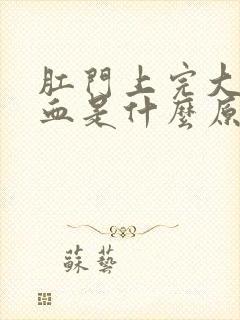 肛门上完大便有血是什么原因