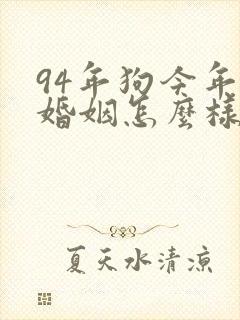 94年狗今年的婚姻怎么样
