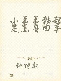 小弟弟勃起无力是怎么回事