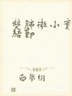 双肺微小实性小结节