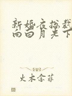 新婚夜总裁逼我向白月光下跪短剧封面