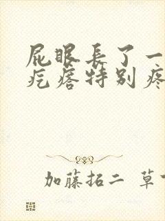 屁眼长了一个硬疙瘩特别疼