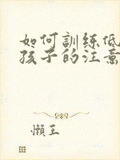 如何训练低年级孩子的注意力