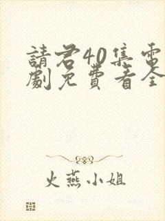 请君40集电视剧免费看全集封面